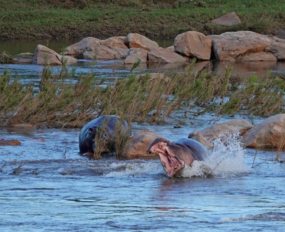 Kruger River Holiday Home Marloth Park Exterior foto