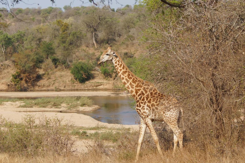 Kruger River Holiday Home Marloth Park Exterior foto