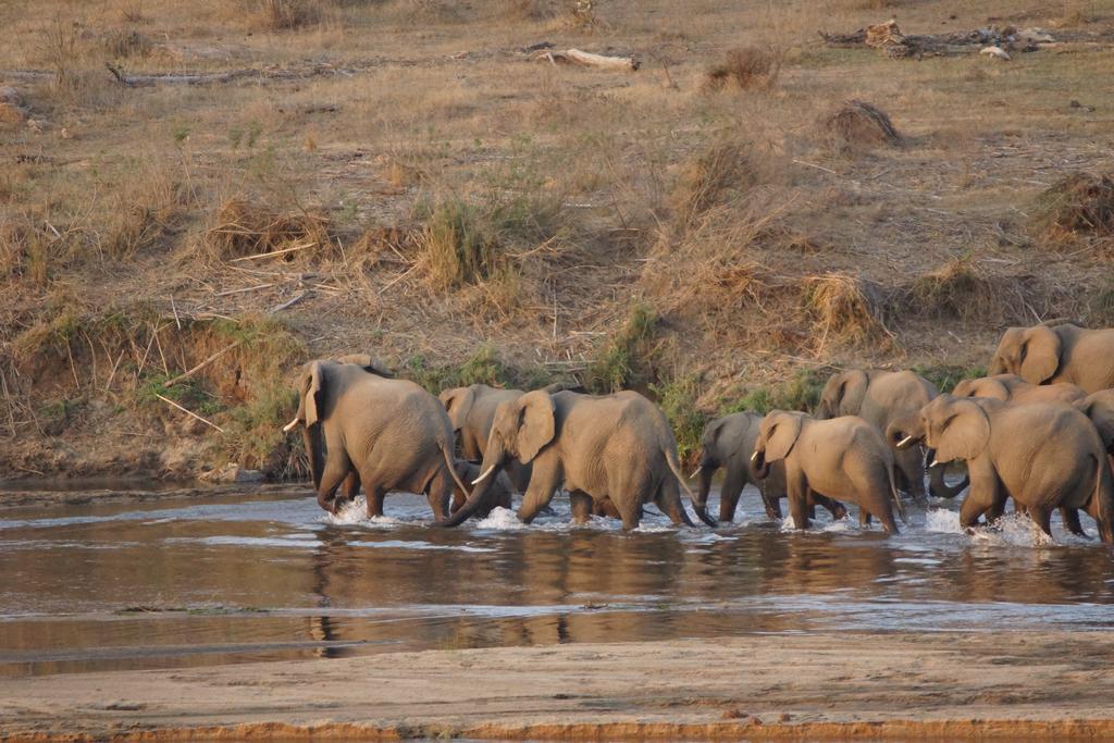 Kruger River Holiday Home Marloth Park Exterior foto