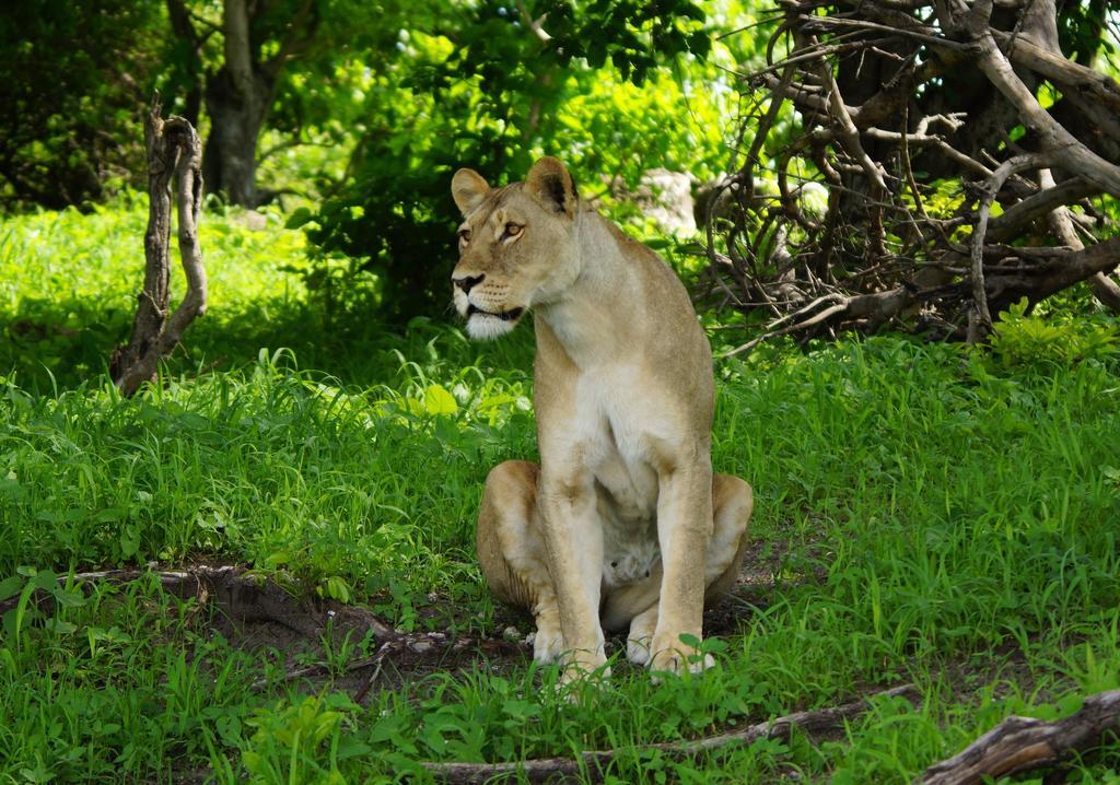 Kruger River Holiday Home Marloth Park Exterior foto