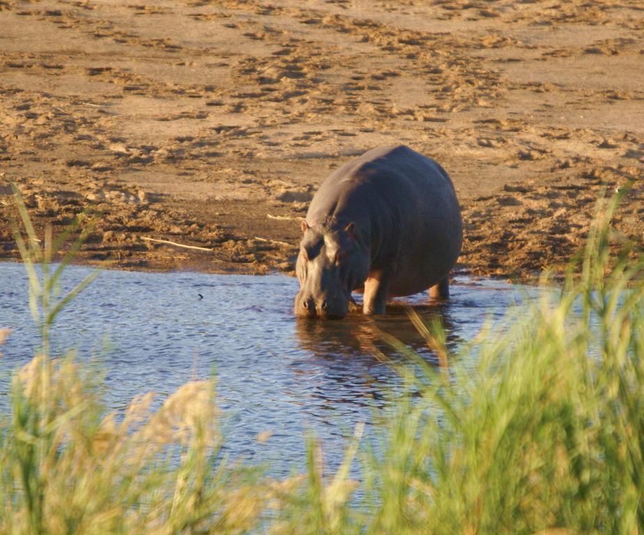 Kruger River Holiday Home Marloth Park Exterior foto