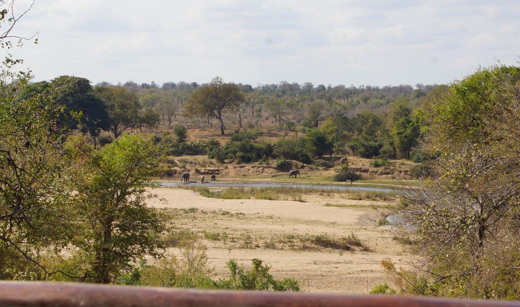 Kruger River Holiday Home Marloth Park Exterior foto
