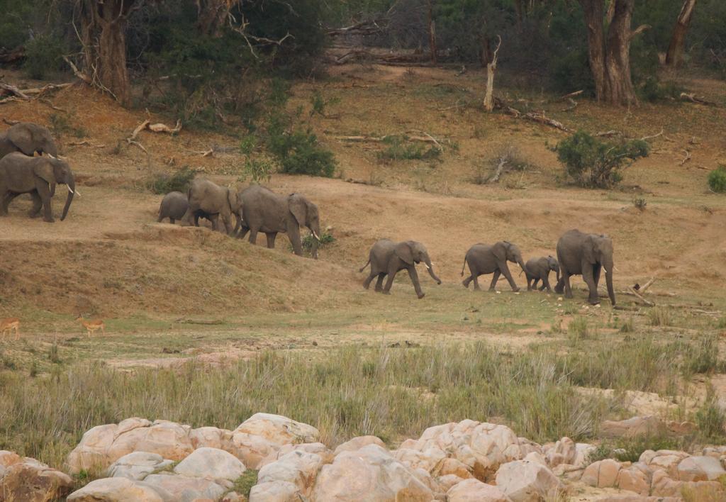 Kruger River Holiday Home Marloth Park Exterior foto